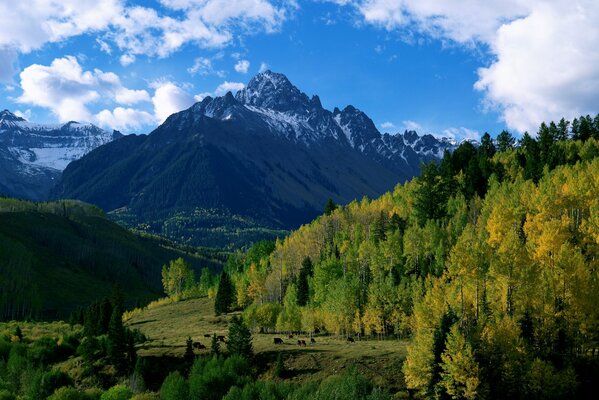 Montagne e alberi sotto un cielo nuvoloso