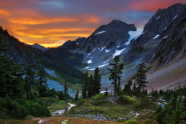 Vue de la forêt de montagne au coucher du soleil