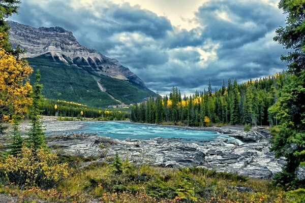 Landscape of mountains, forests and a small river in Jasper National Park