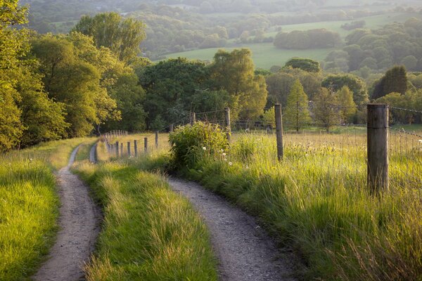 Paesaggio della strada battuta nel villaggio