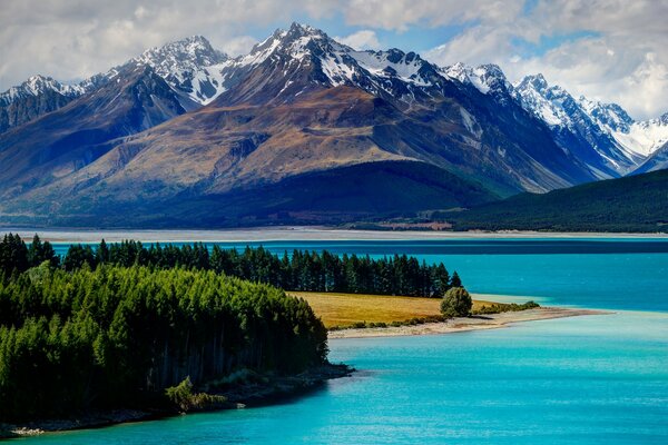 Ein See in Neuseeland mit blauem Wasser, bewachsenen Ufern und von Bergen umgeben