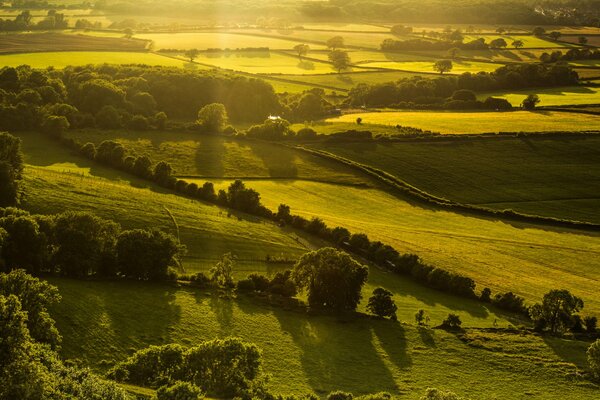 La nature magique de l Angleterre au soleil