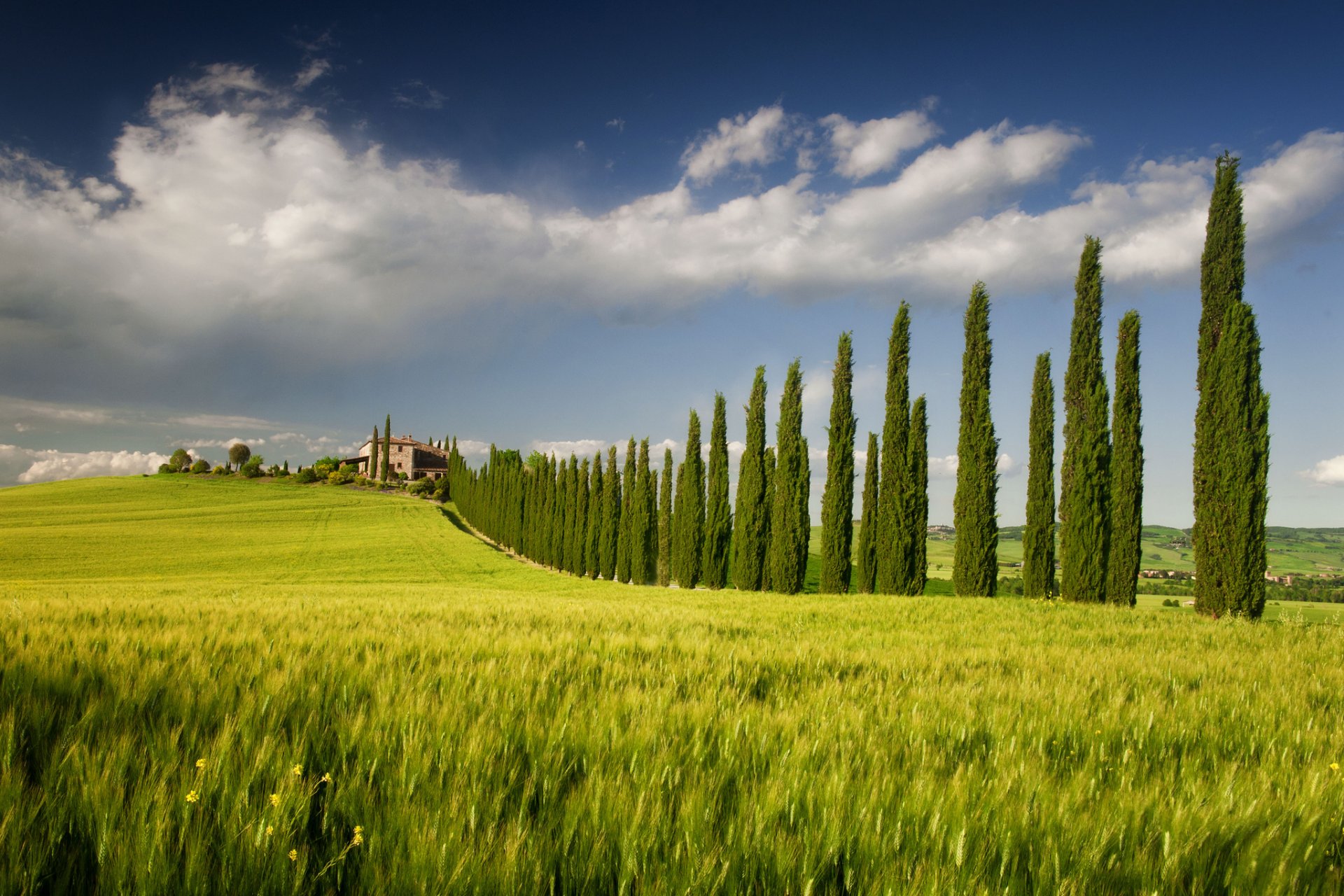 italie campanie champ arbres maison ciel printemps