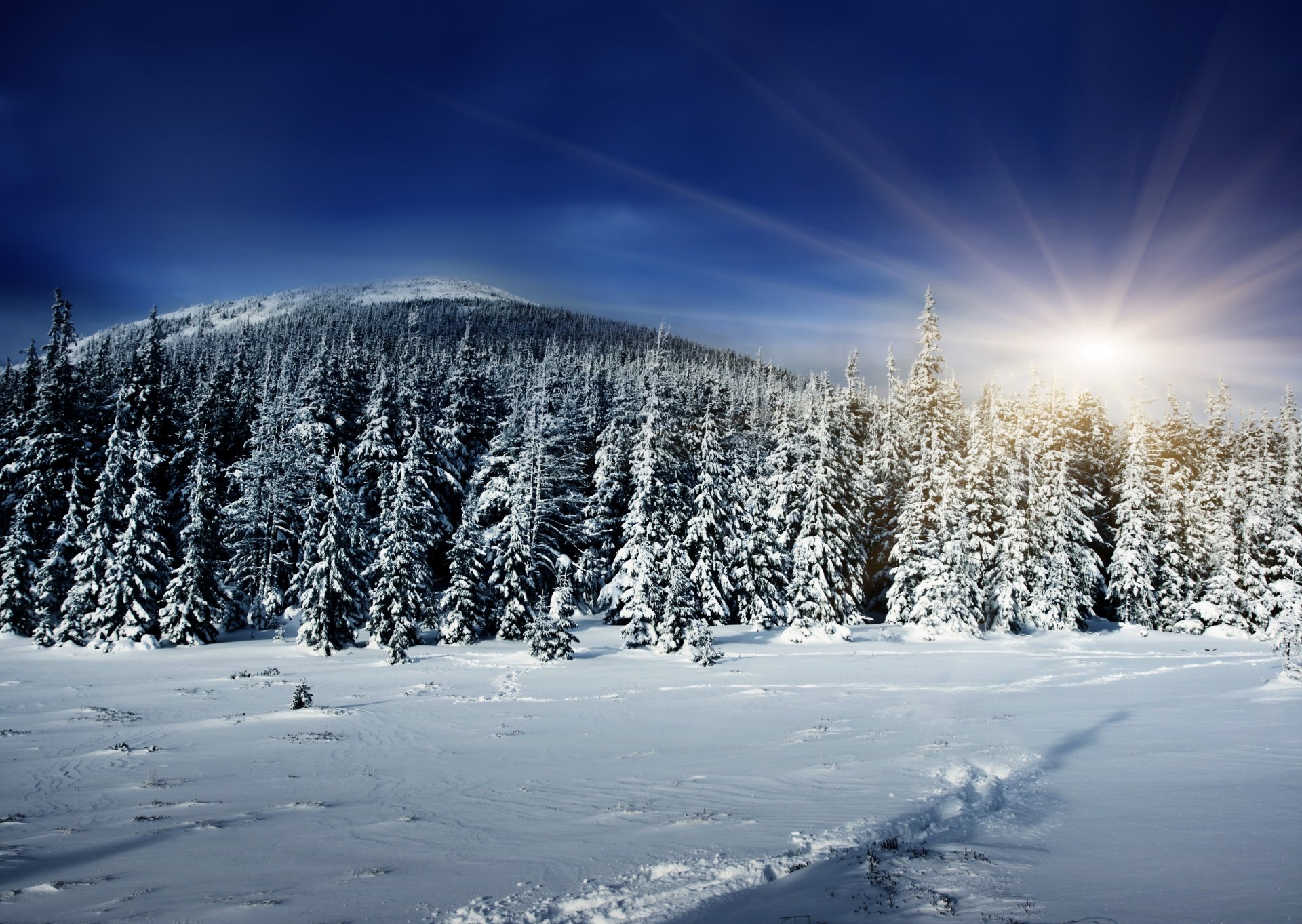 winter wald sonne strahlen schnee hügel schatten