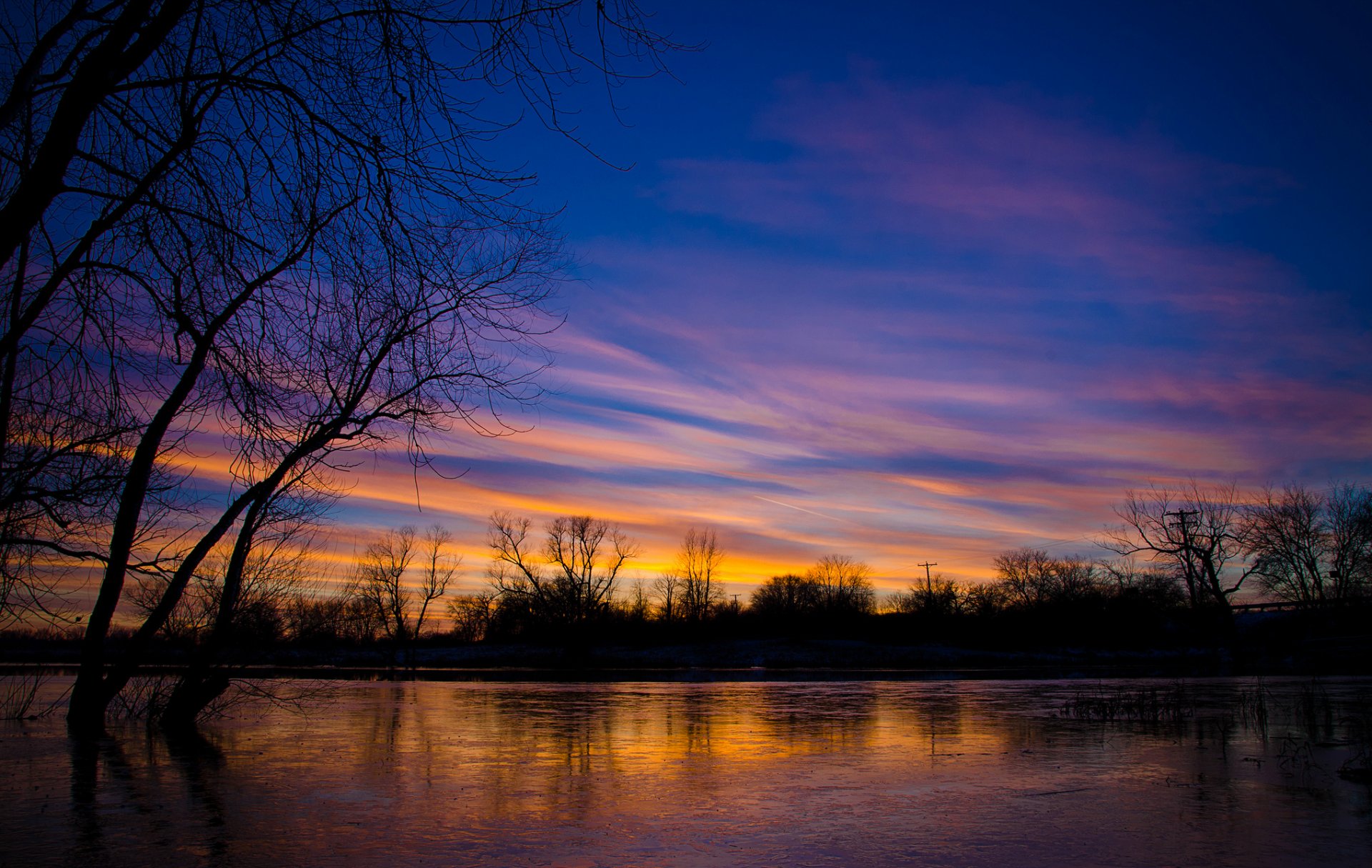 estados unidos illinois lago árboles tarde puesta de sol. cielo nubes