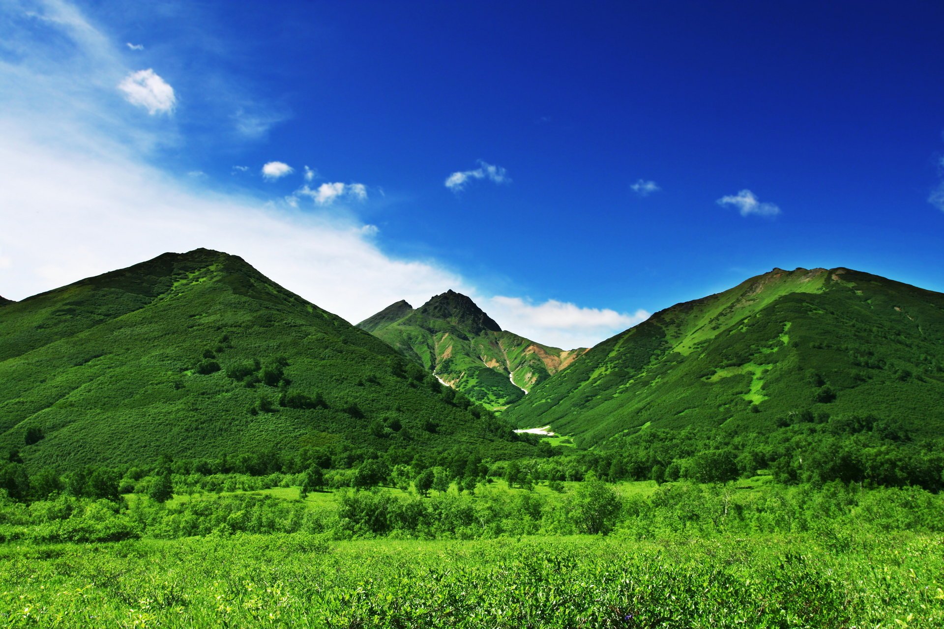 montagnes nature verdure herbe arbres ciel