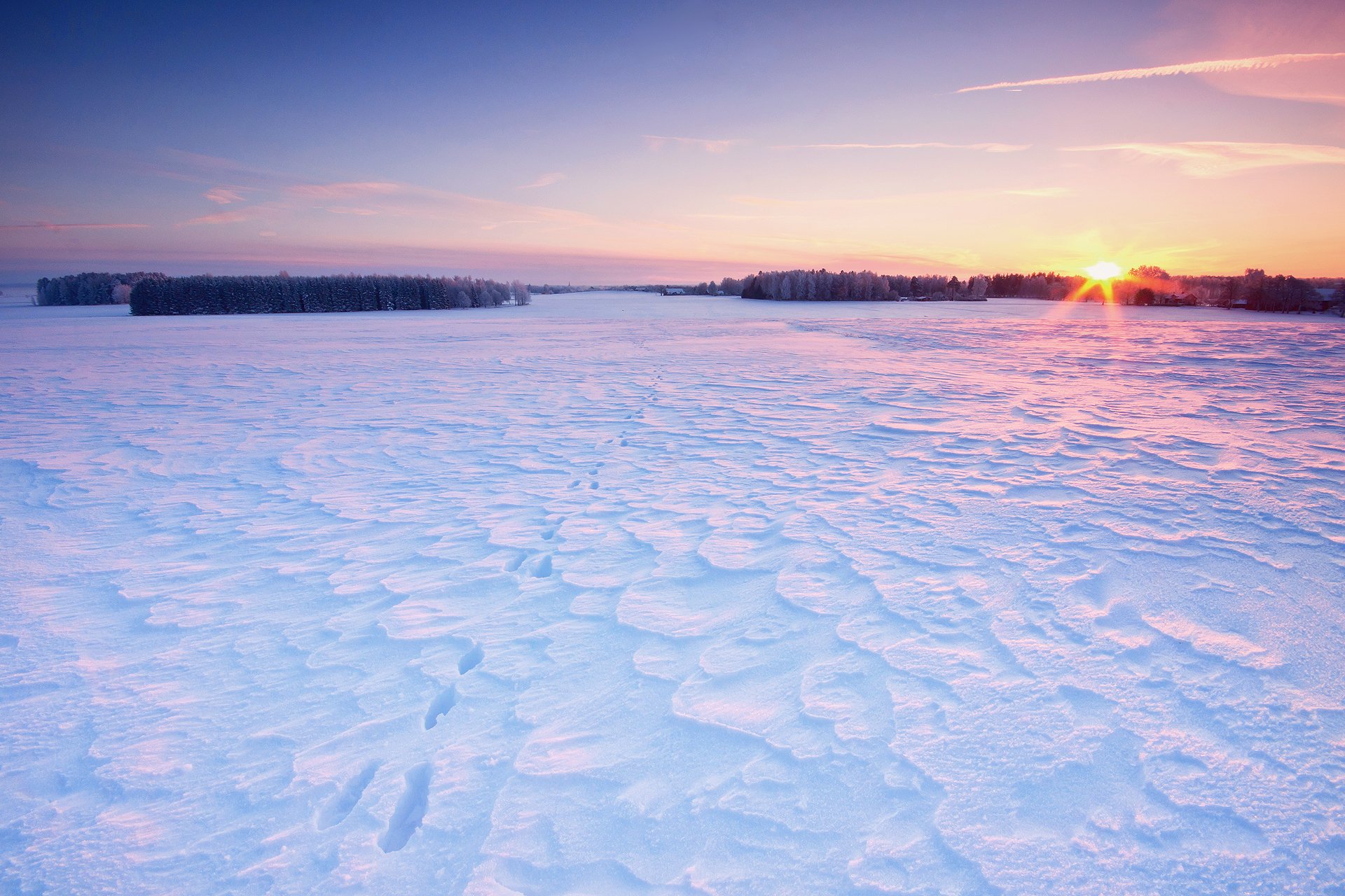 winter the field snow traces sky sun tree house