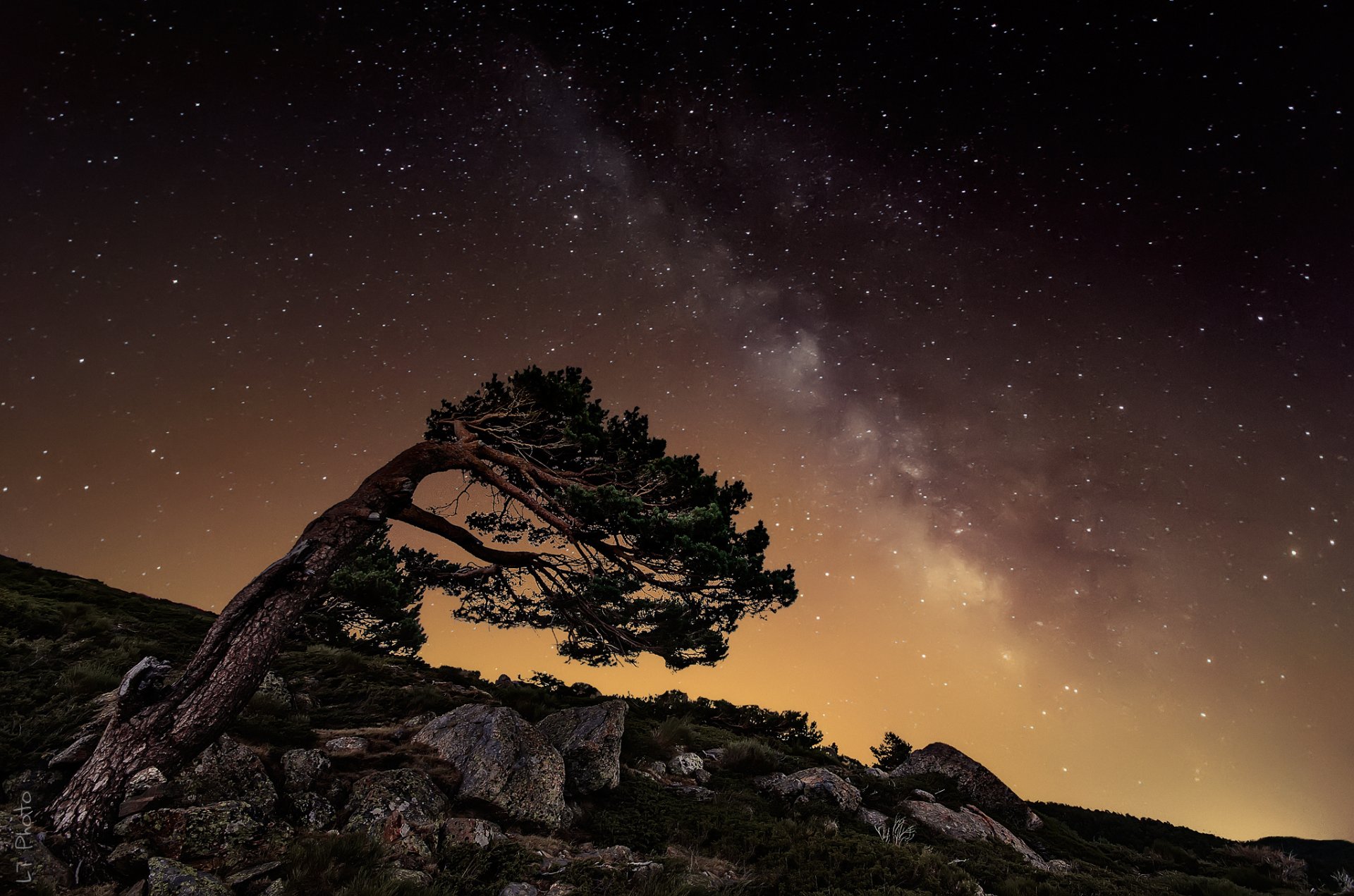 noche estrellas vía láctea rocas árbol piedras