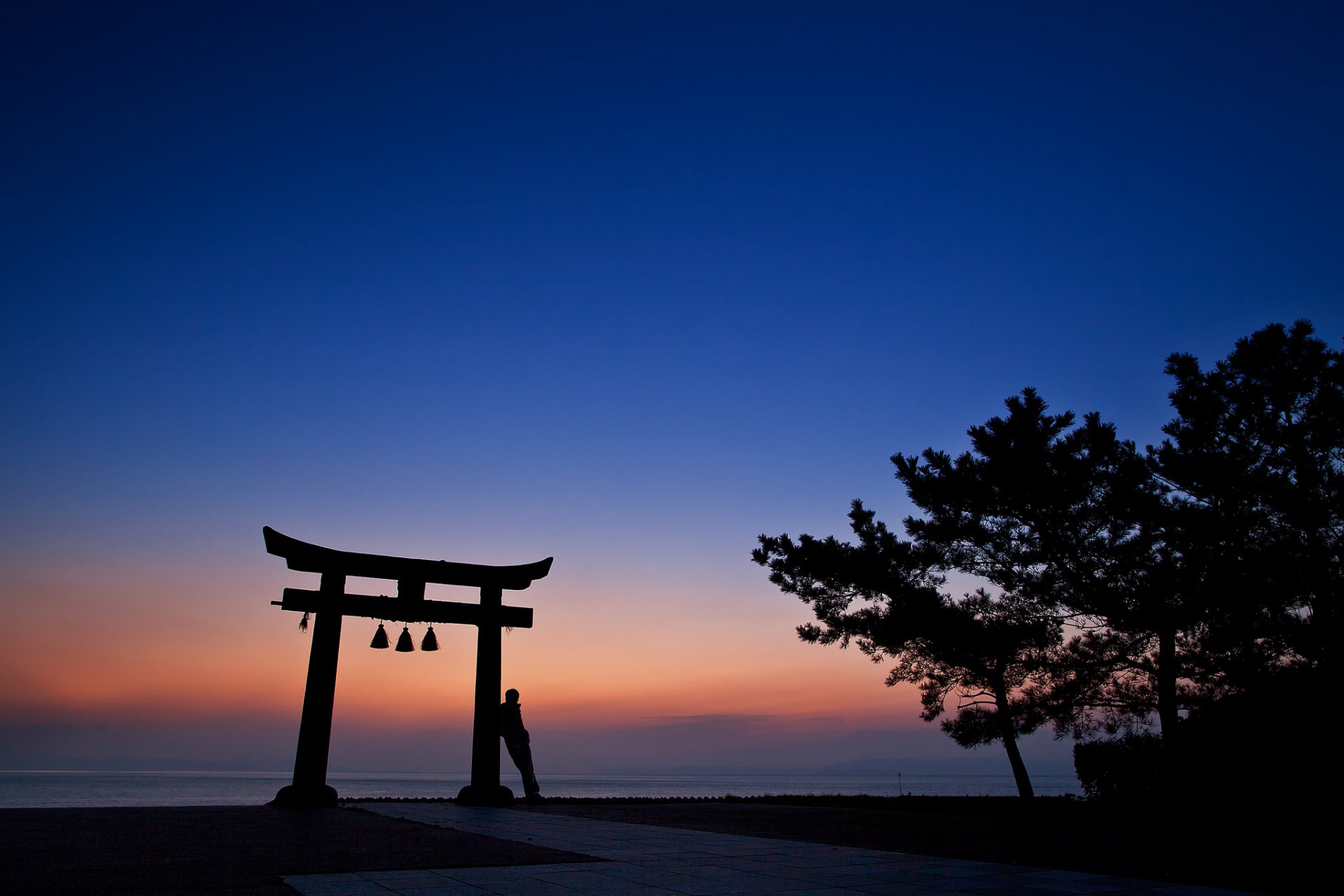 japan night orange sunset blue sky tree torii architecture man silhouette