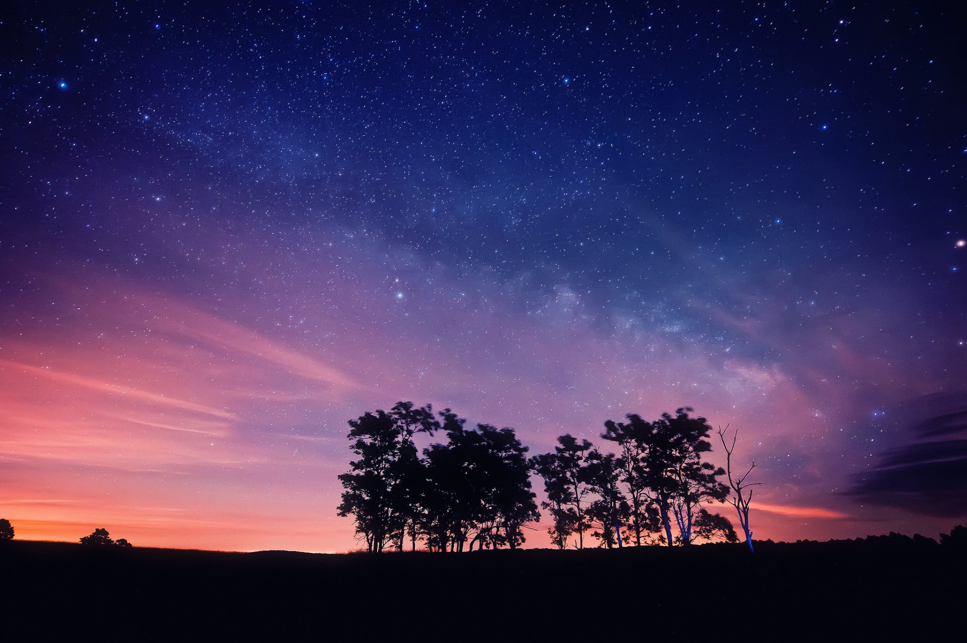 nacht himmel sterne bäume silhouetten