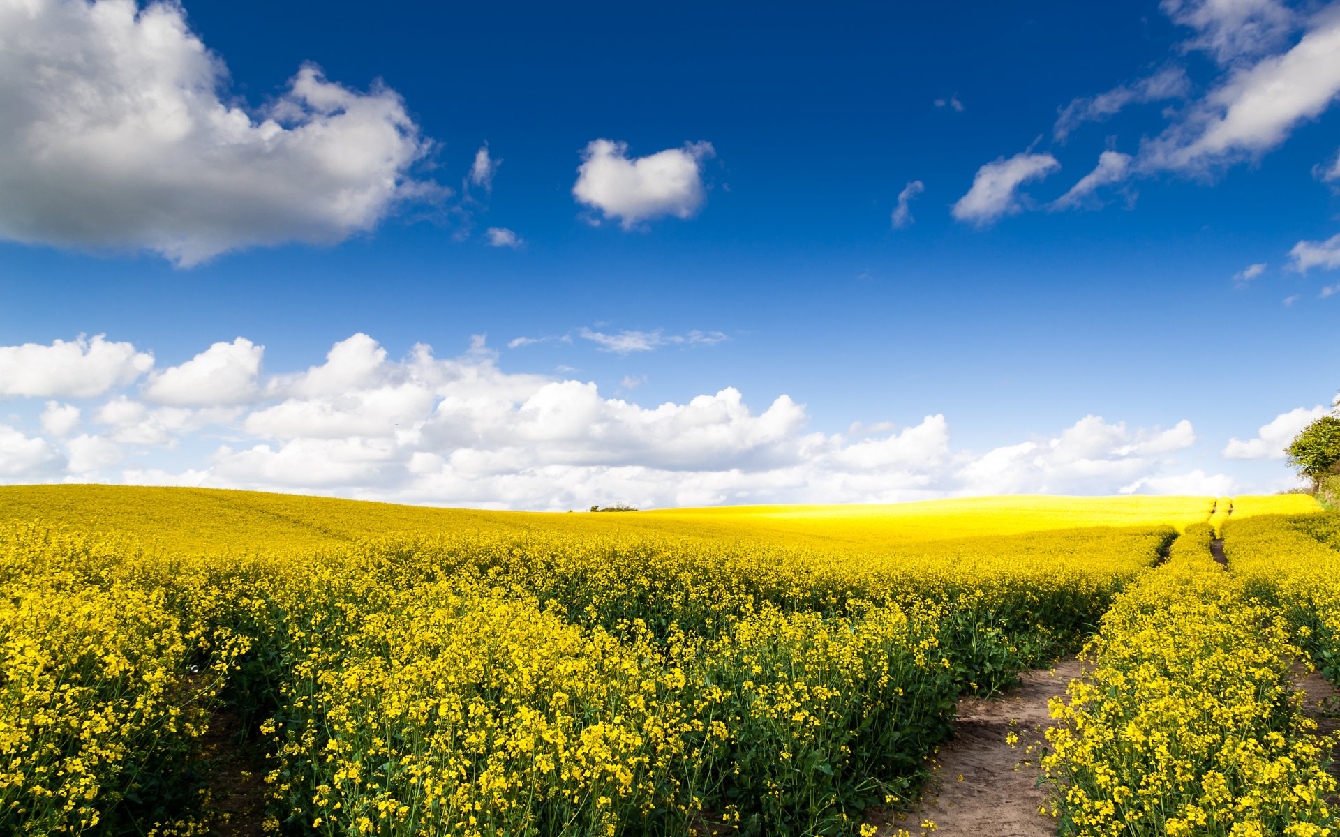 natura campo strada stupro distesa nuvole