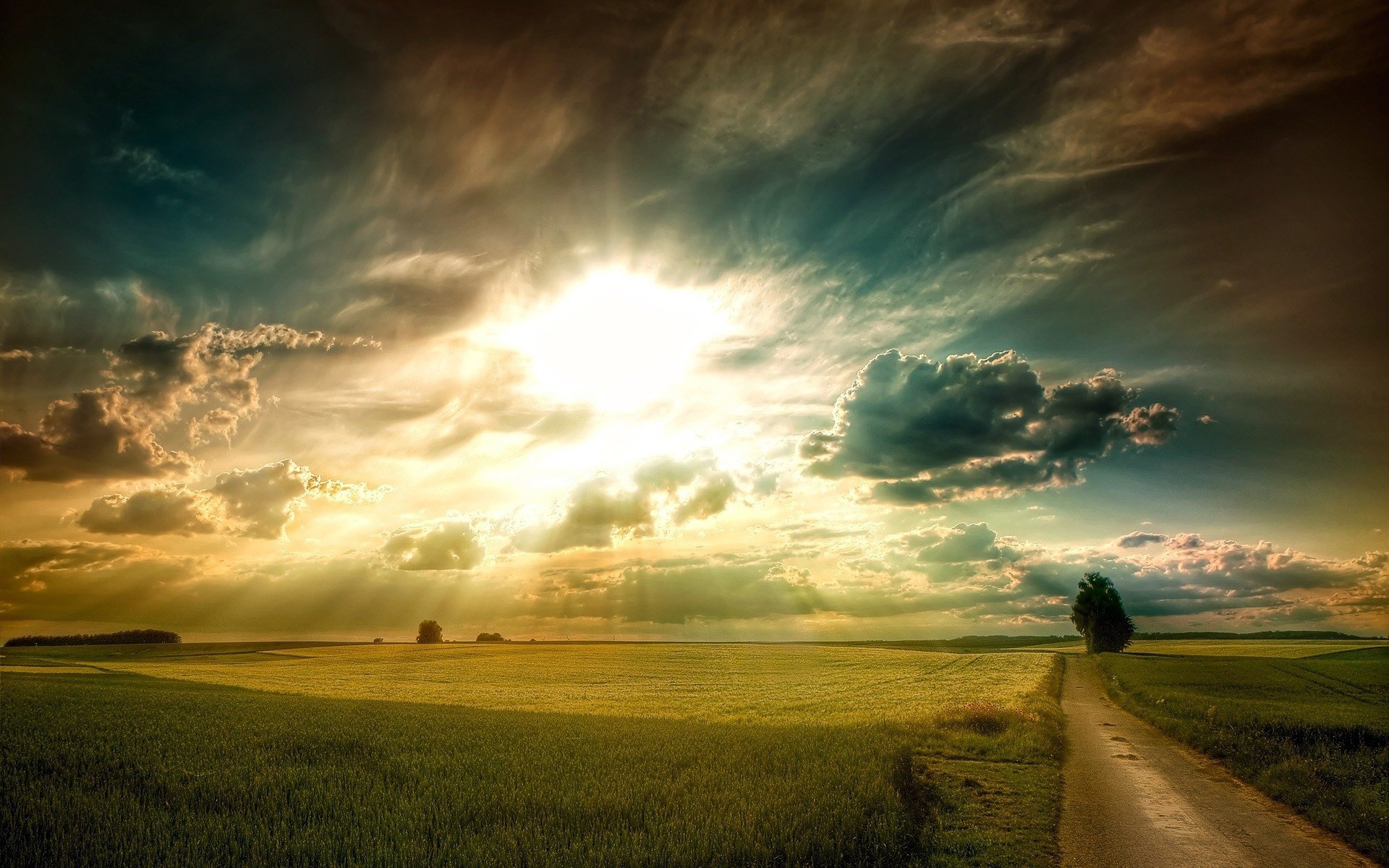 pianura campi erba strada albero cielo nuvole sole raggi luce alba tramonto