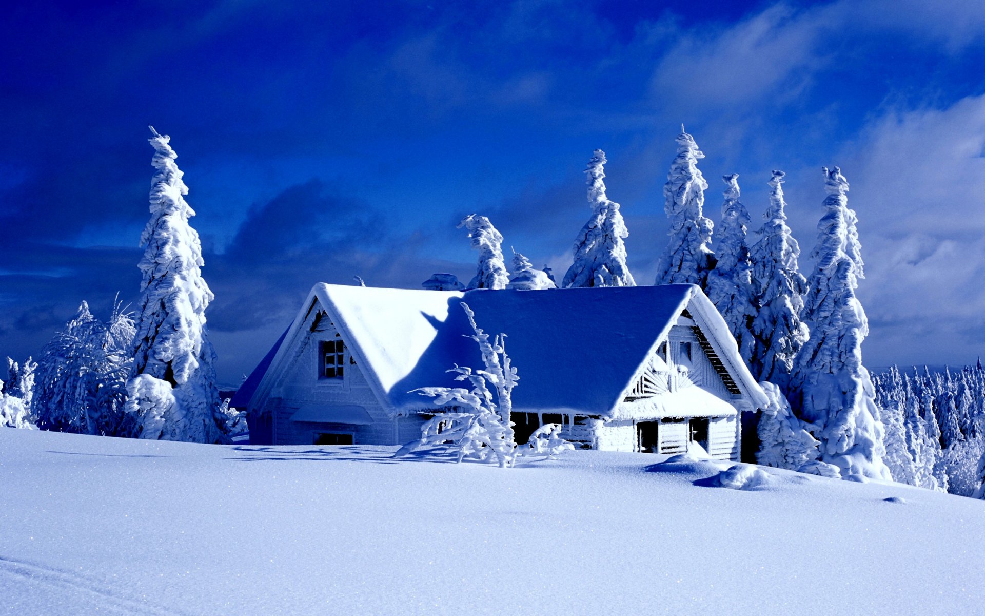 invierno nieve abeto árboles arbustos cielo nubes casa cuento de hadas