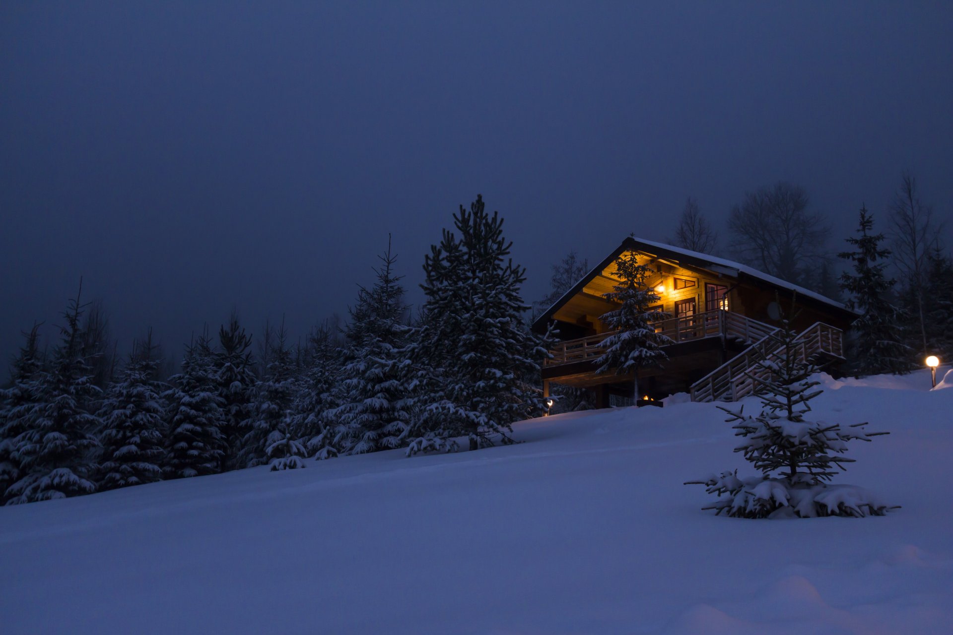 haus wald schnee haus im wald winter neujahr hütte hütte weihnachtsbaum kabine baum bäume hütte winter nacht natur russland reisen