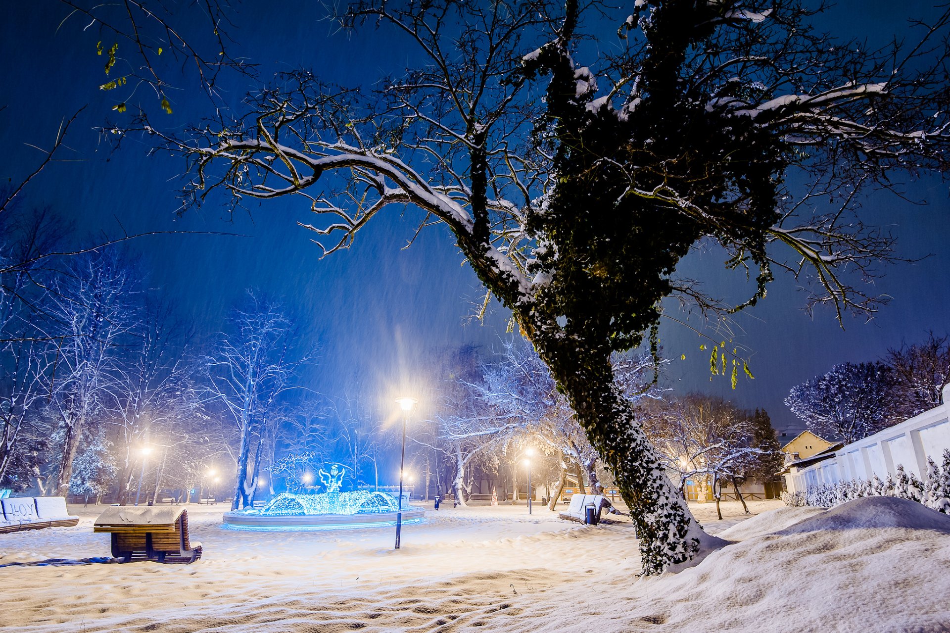 park winter snow tree light benches benches trees city evening