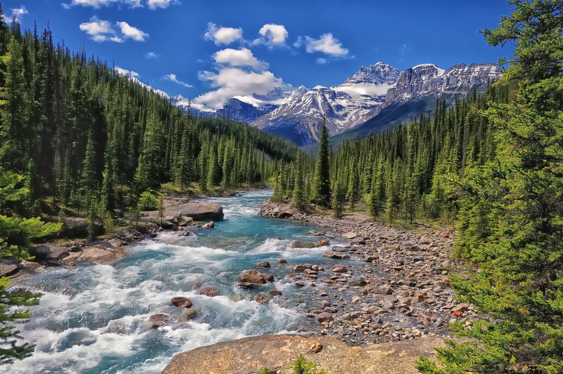 mistaya river banff national park alberta canada river mountains forest