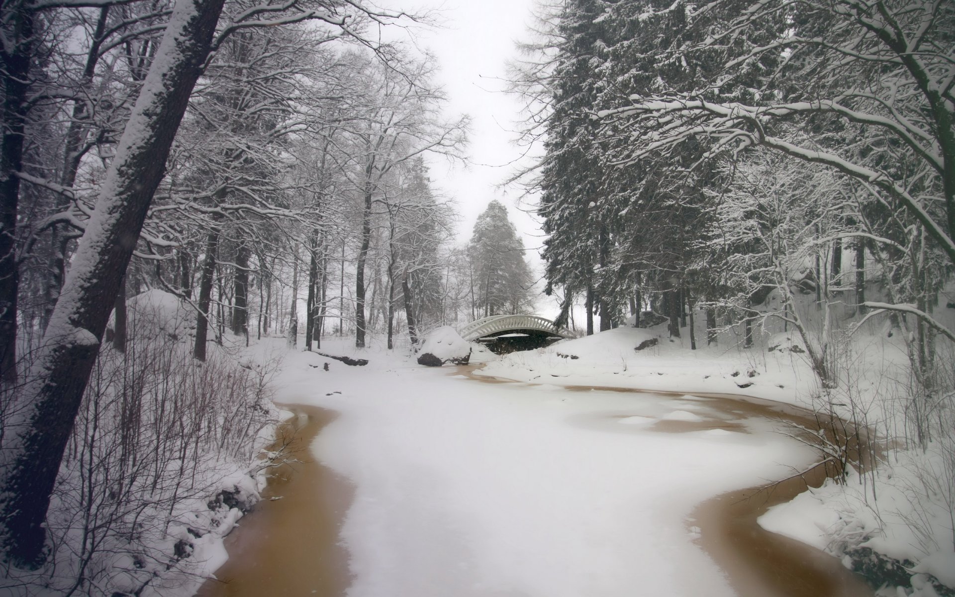 hiver parc rivière pont arbres neige