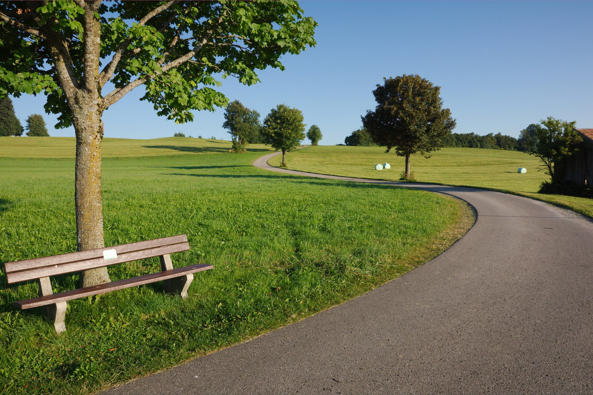 sommer straße bäume bank