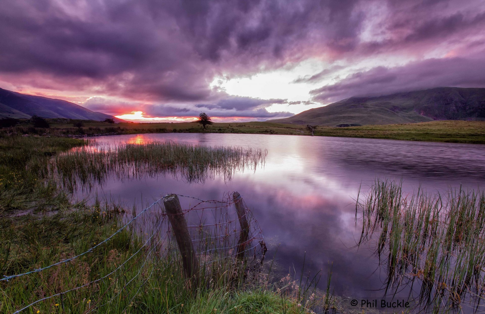 tramonto cielo vernice lago erba