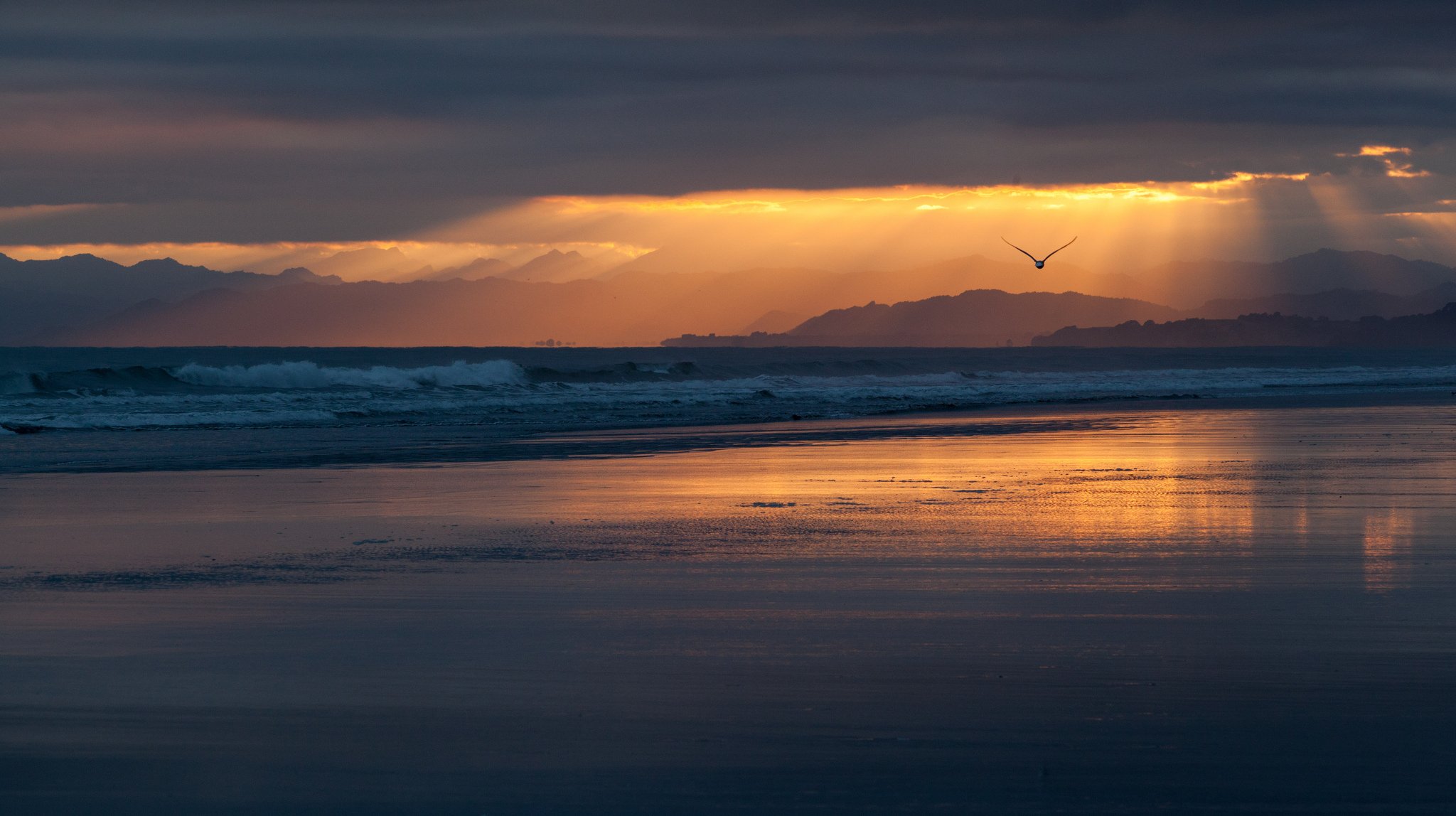 neuseeland küste strand küste meer ozean abend sonnenuntergang orange himmel wolken vogel fliegen silhouette