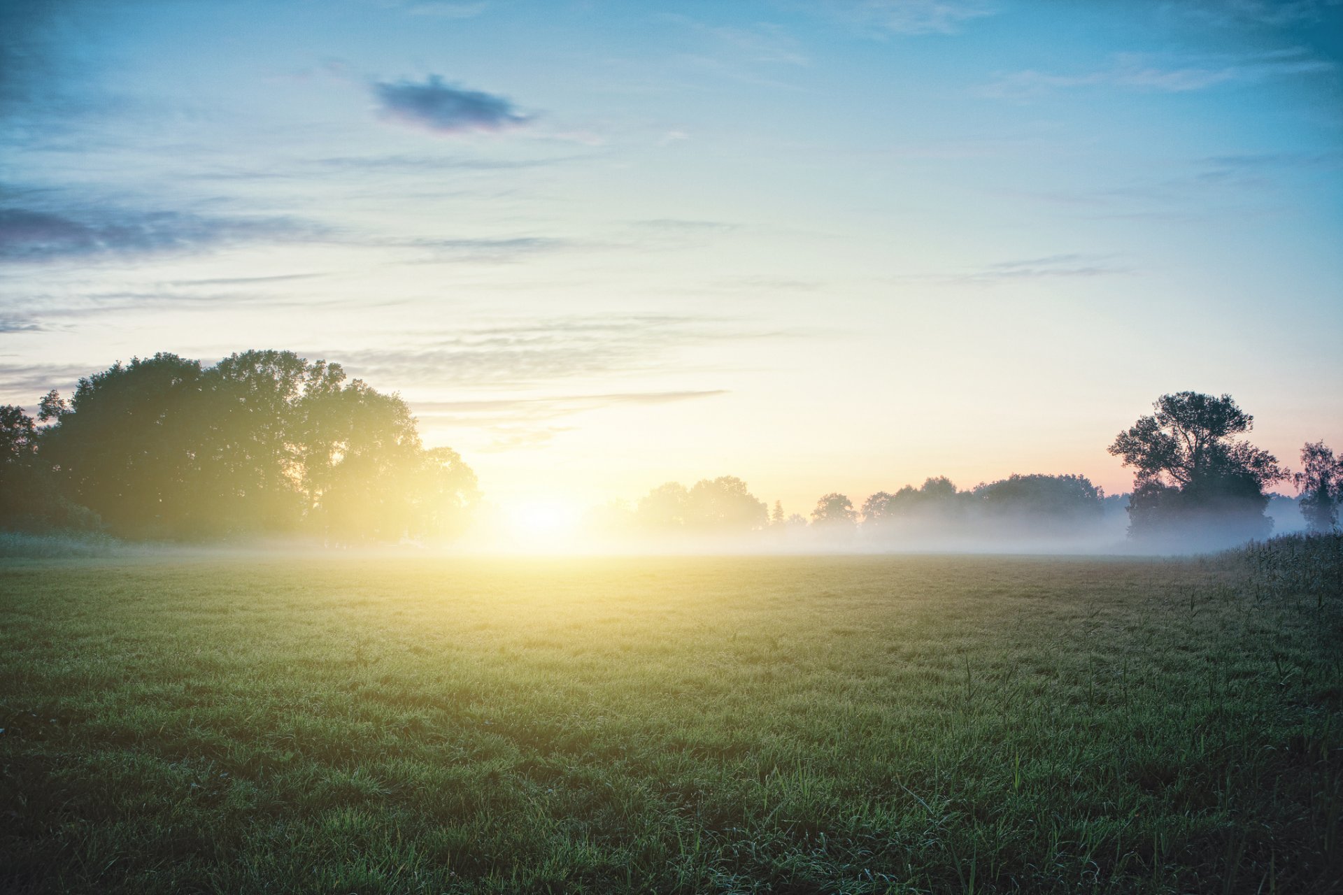 matin soleil brouillard herbe rosée