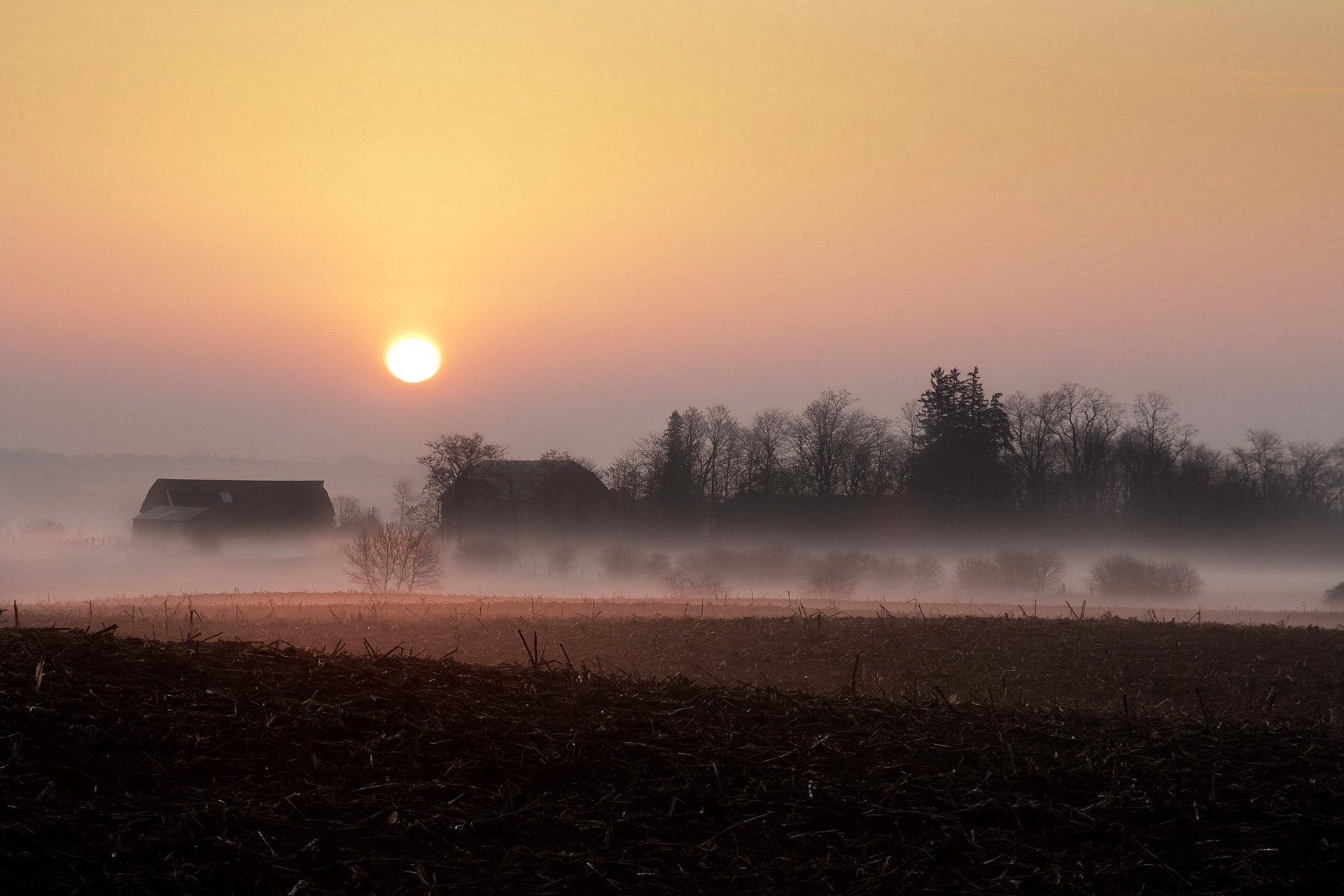 tramonto campo nebbia casa paesaggio