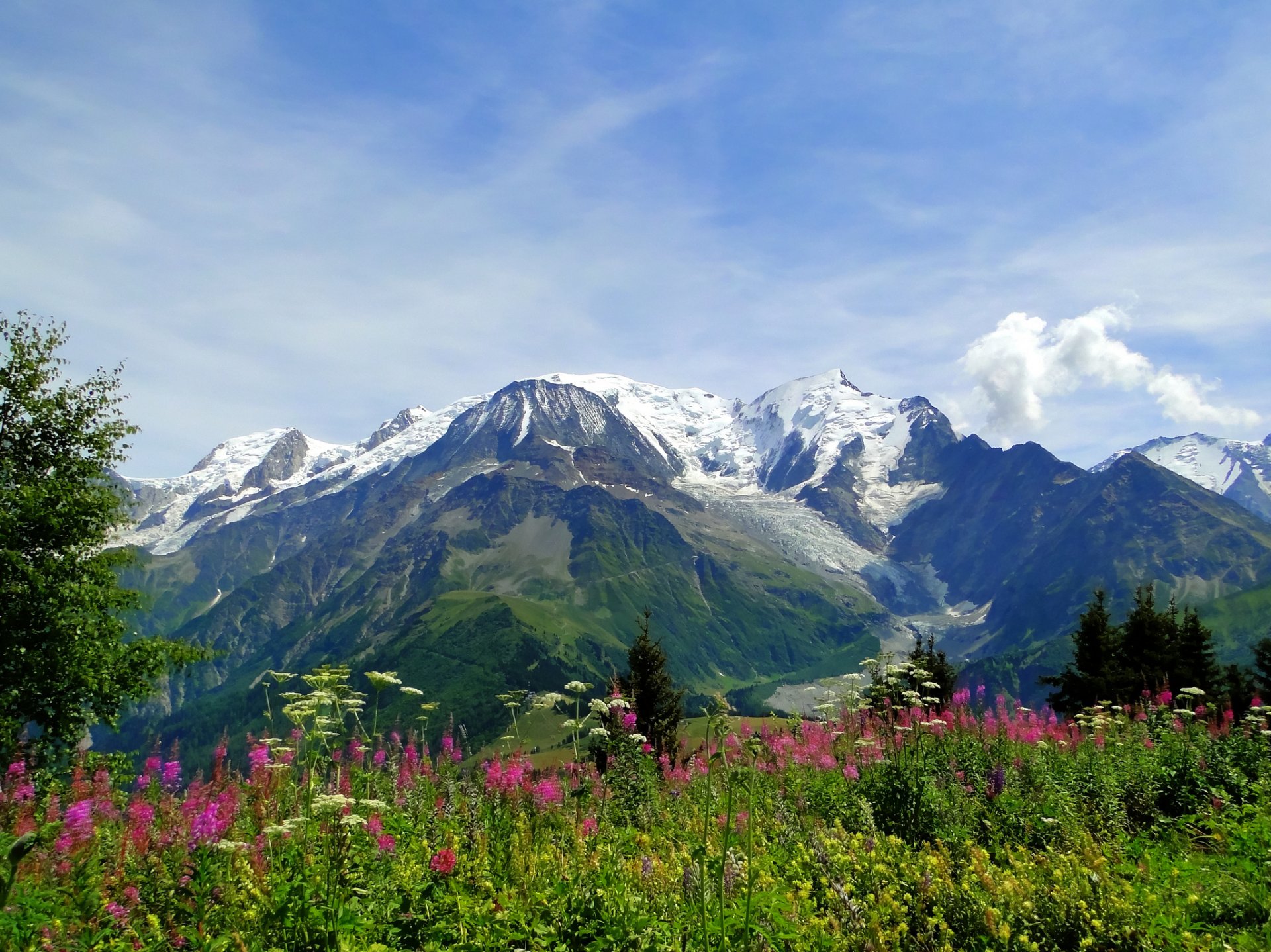 mont blanc alpes montañas prado flores naturaleza