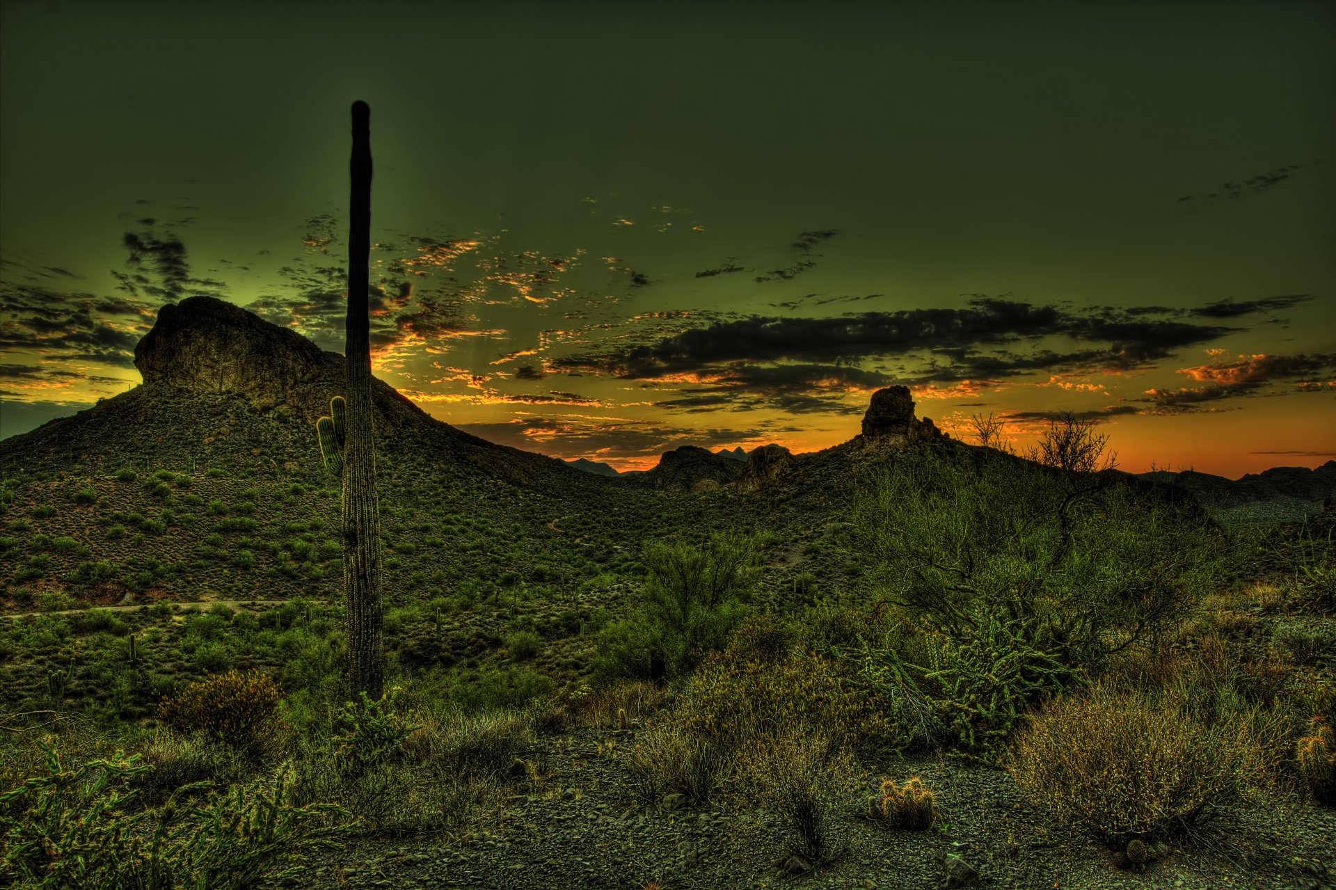 coucher de soleil montagnes cactus mexique désert hdr