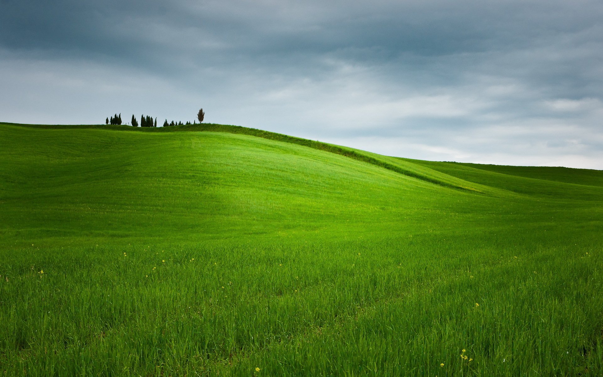 pole niebo natura krajobraz