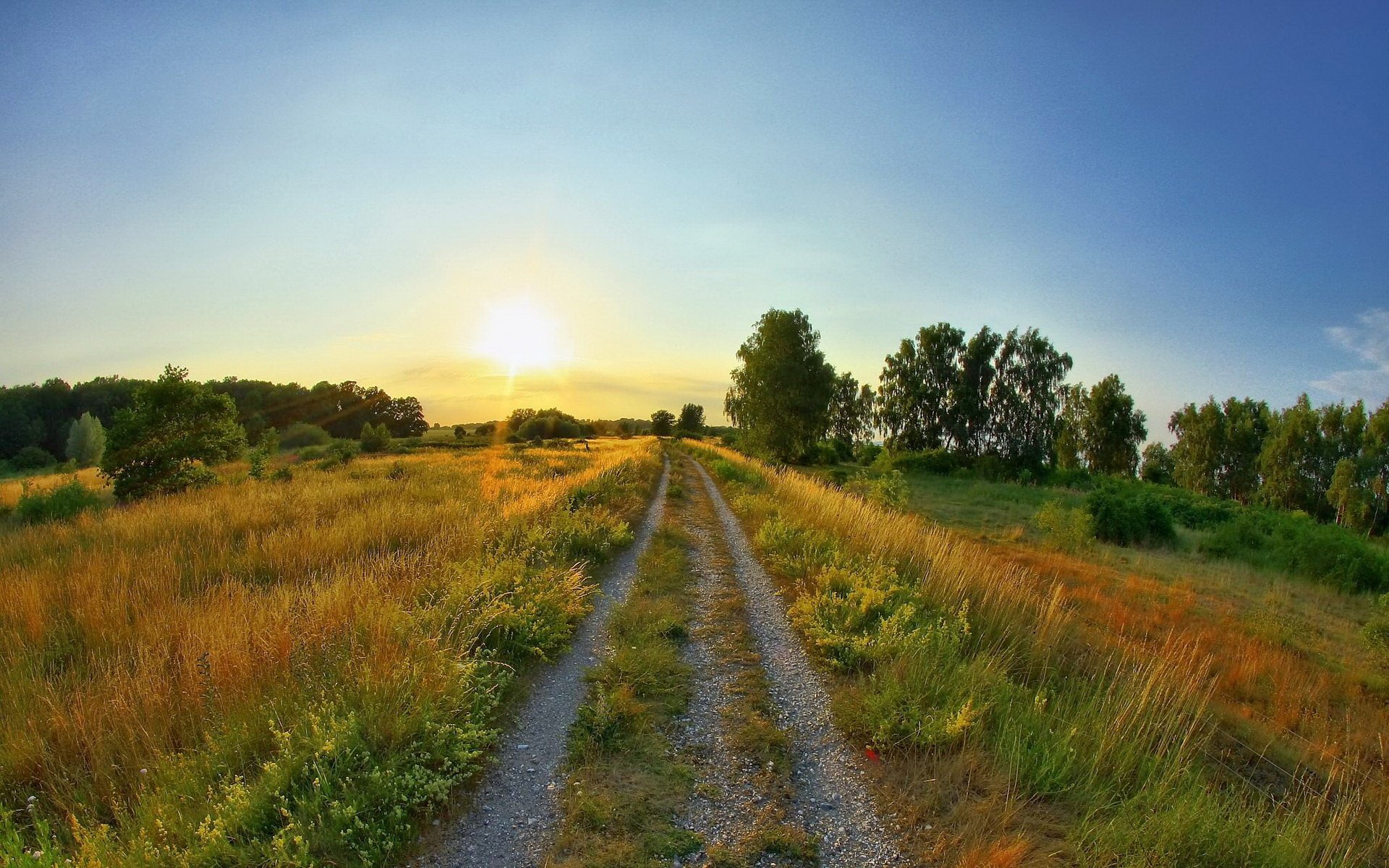 route clairière été soleil lever du soleil