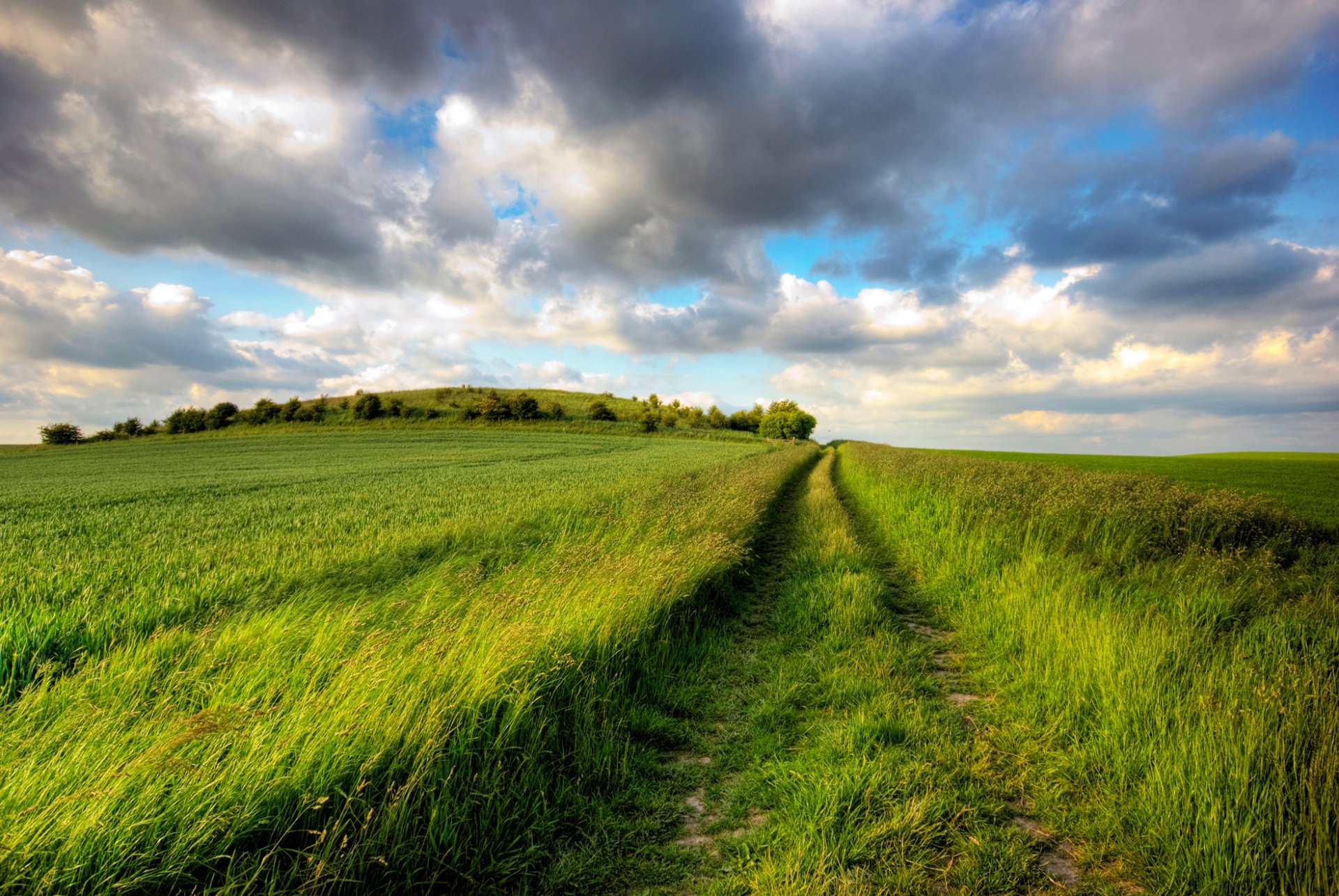 route sentier champ herbes verdure plaine espace loin été joie jour soleil ciel nuages