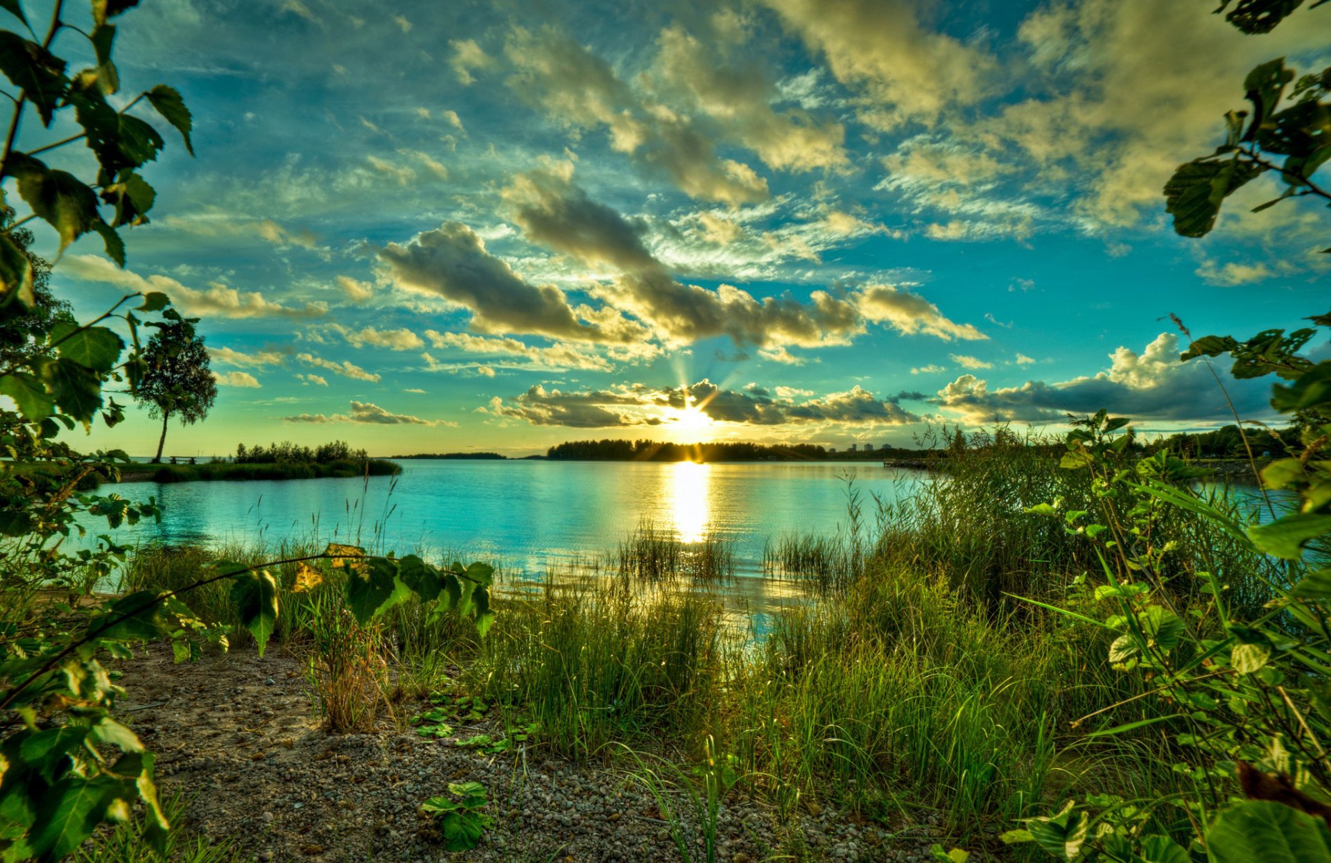 lake green grass tree nature sky clouds dawn