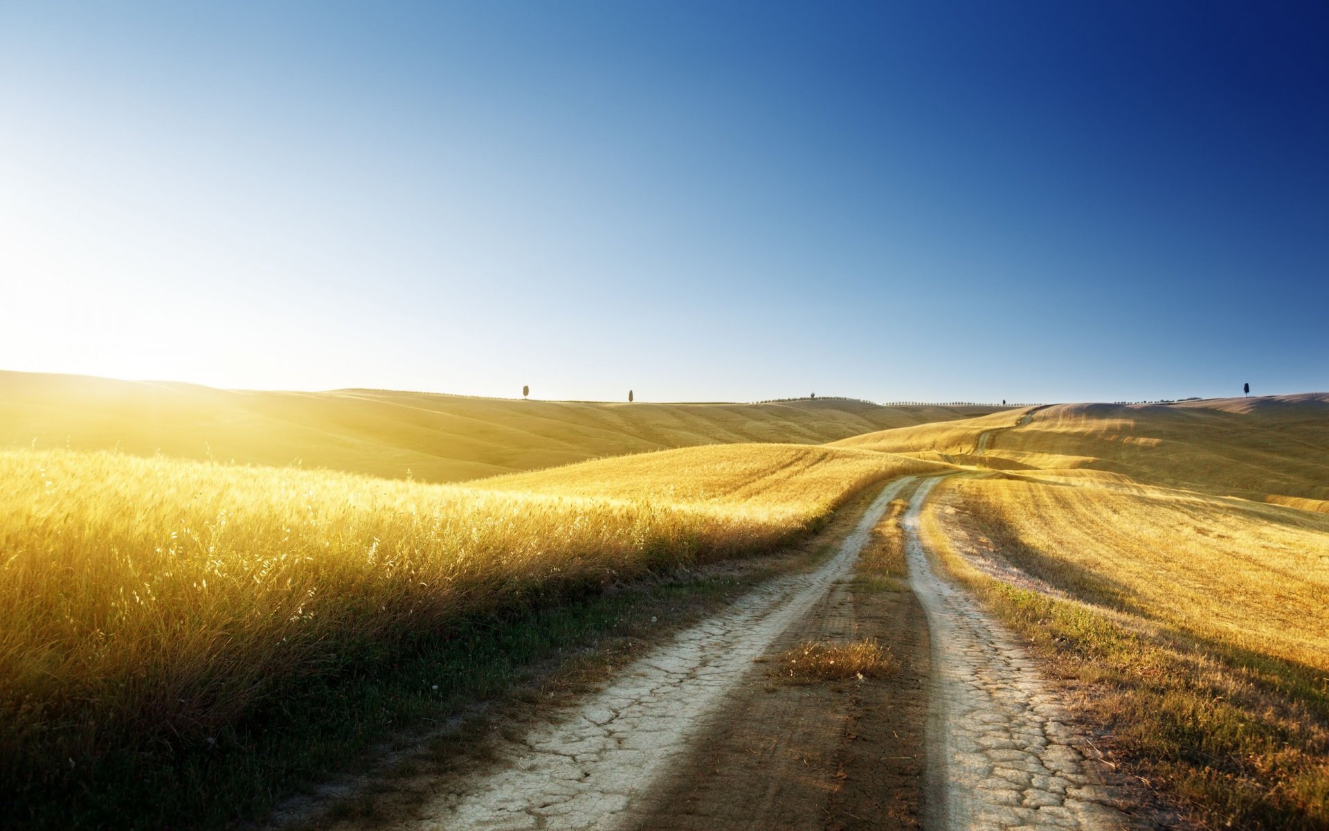 landscapes nature road roads sky grass sun morning light open spaces freedom beautiful places trees wheat tree beautiful desktop wallpaper widescreen wallpaper widescreen wallpaper hd wallpaper blue summer heat hills horizon tracks track shadow shadow