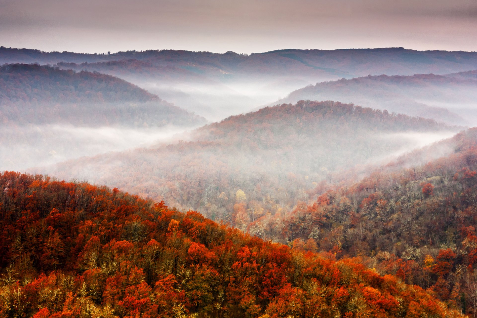 nature fall mountains tree sky foliage autumn forest