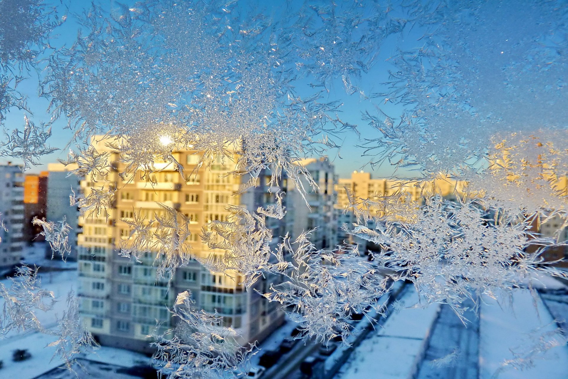 inverno finestra modello gelo casa