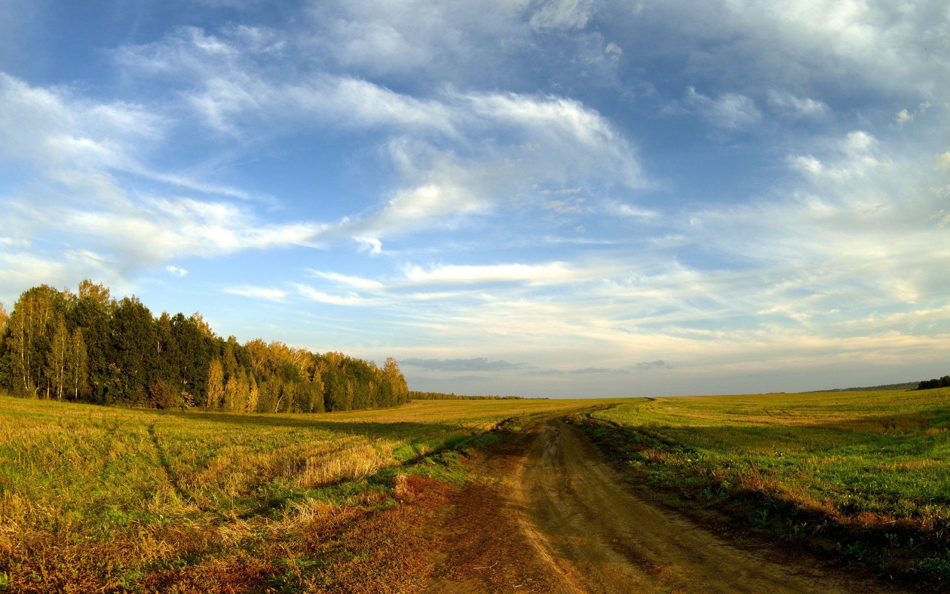 campo strada autunno paesaggio