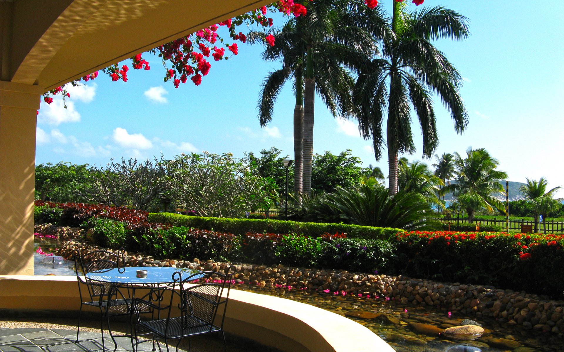 palm flower nice porch rest hotel