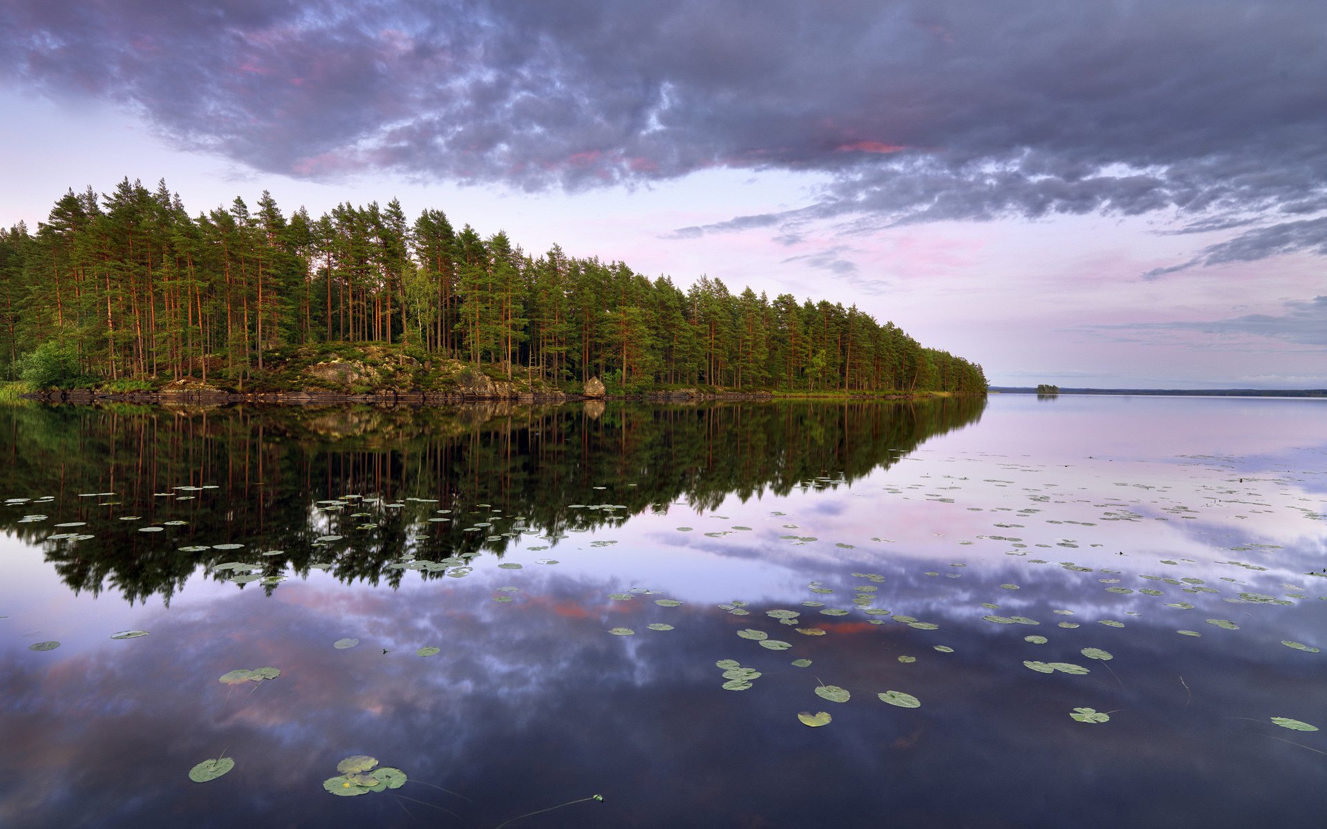 lago adolescente närke svezia lago isola foresta alberi