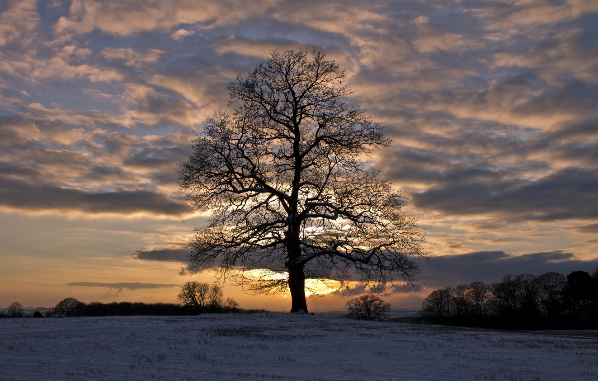 hiver neige champ arbres soir coucher de soleil ciel nuages