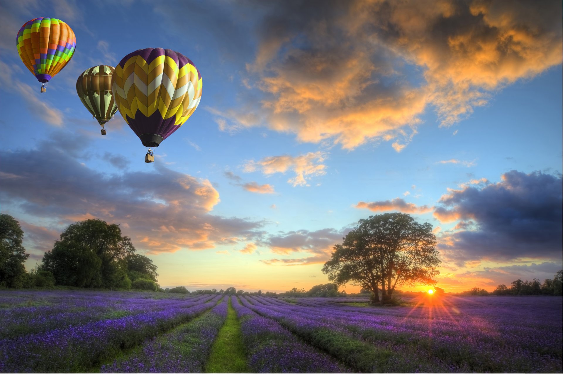 natur himmel wolken sonnenuntergang landschaft kugeln feld blumen