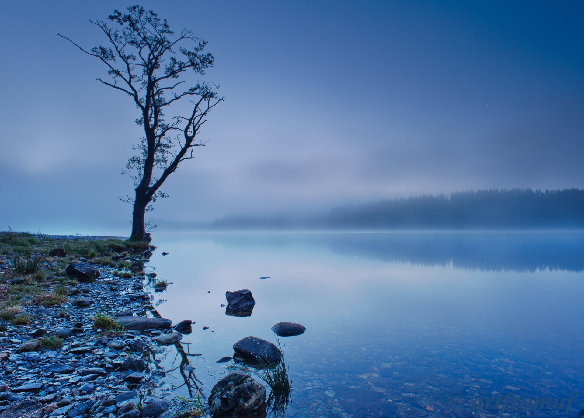 royaume-uni écosse lac réflexion côte arbre arbres forêt ciel brouillard bleu