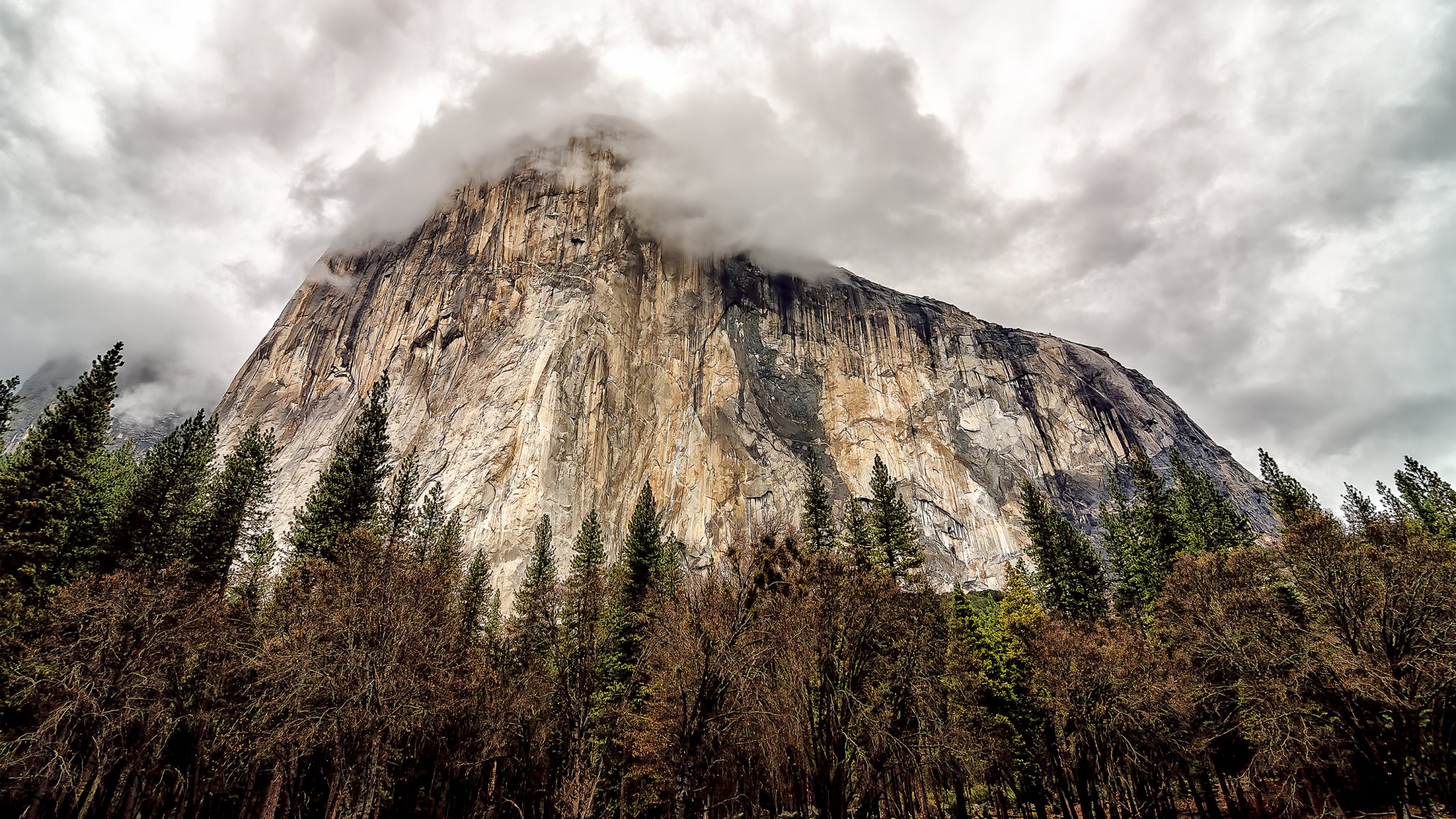 usa california yosemite national park mountain rock trees sky clouds united states yosemite national park tree