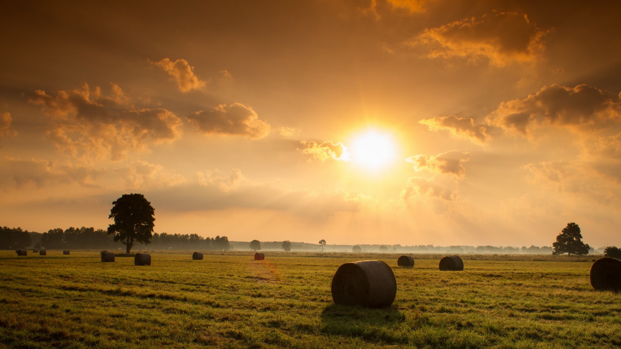 tramonto campo fieno natura paesaggio