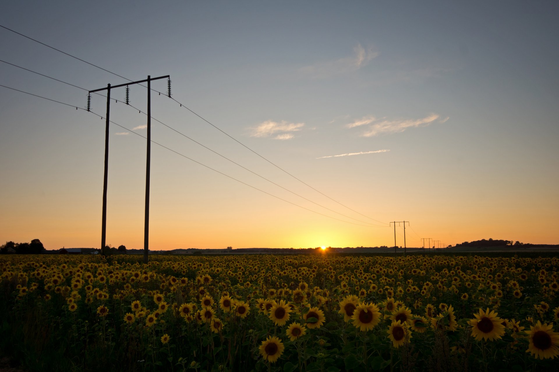 suède nature champ tournesols fils supports soir coucher de soleil soleil ciel nuages