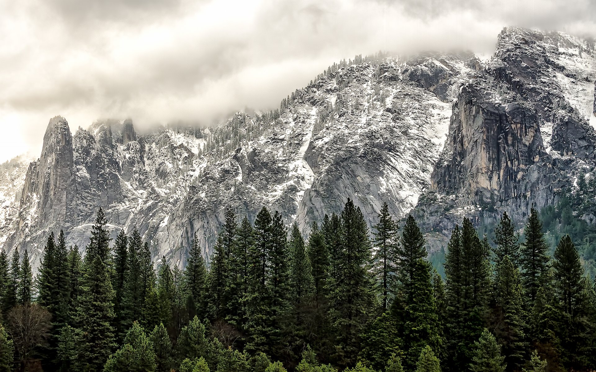 stany zjednoczone stan kalifornia park narodowy yosemite stan kalifornia las góry zima