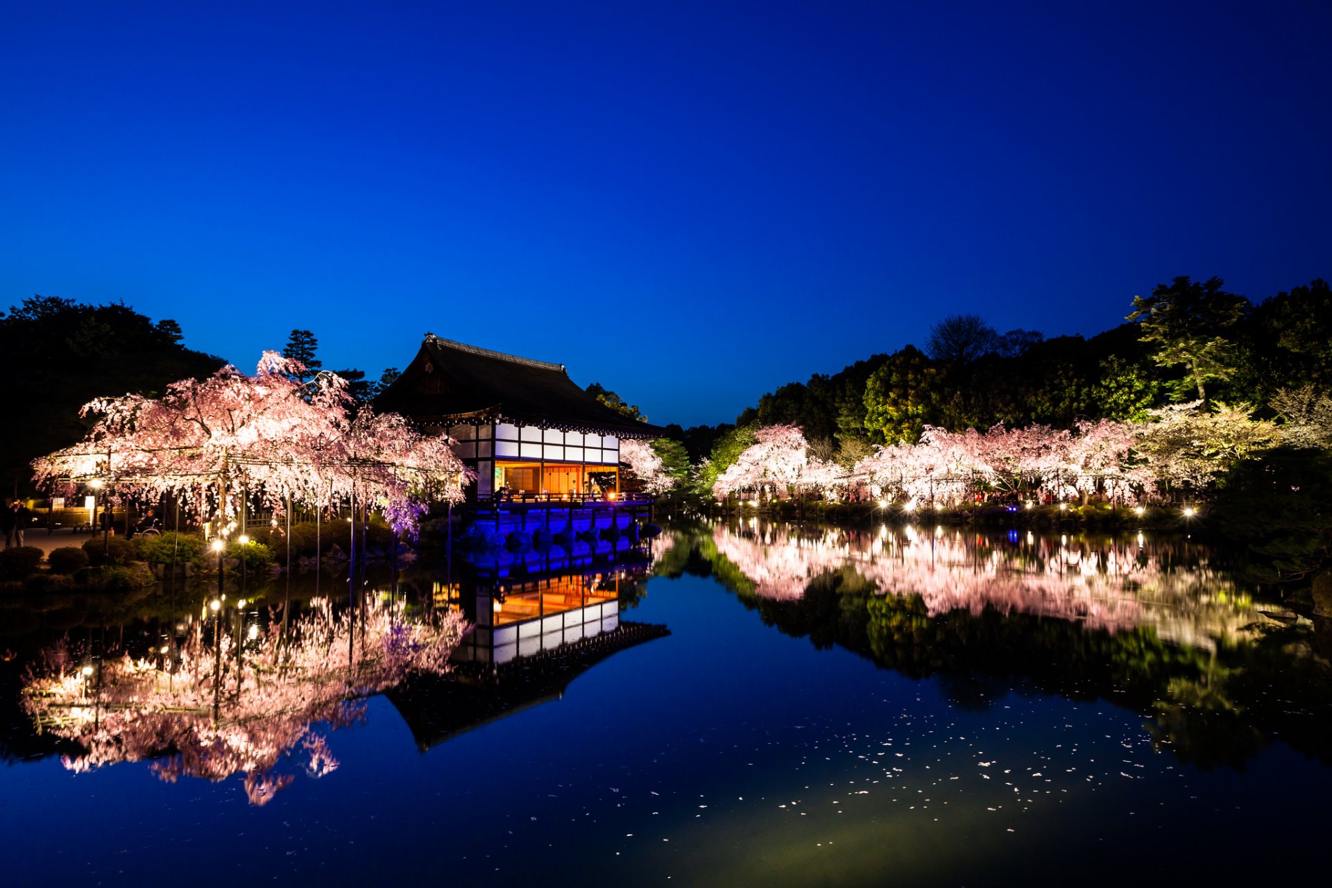 świątynia heian kioto japonia krajobraz natura ogrody drzewa sakura woda odbicie wieczór