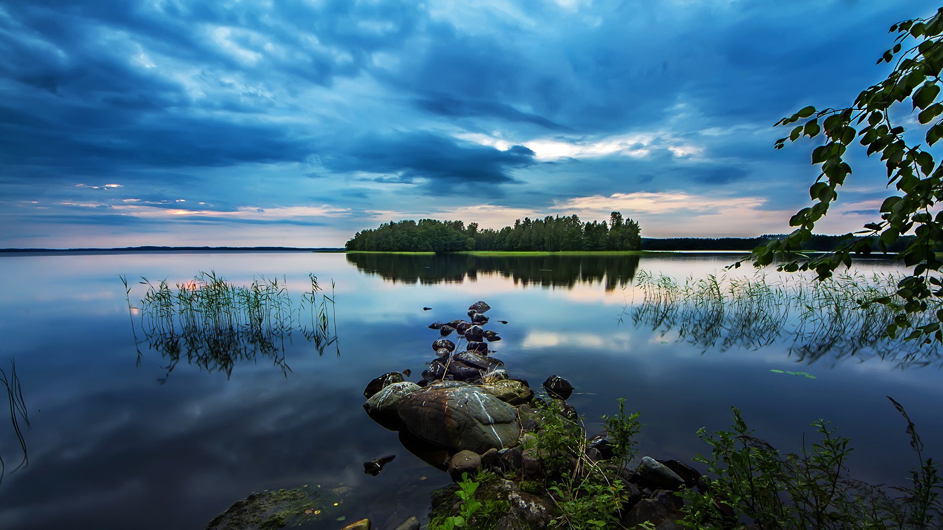 lac île forêt arbres pierres surface réflexion roseaux horizon ciel nuages