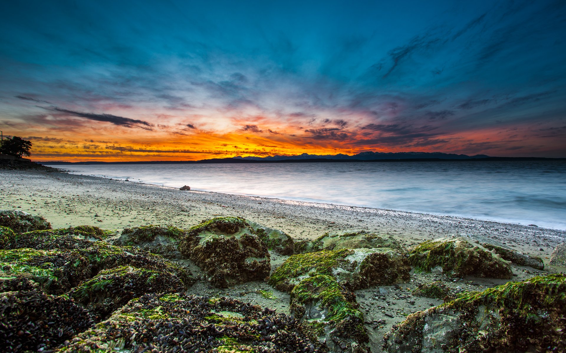 etats-unis washington seattle plage côte pierres mousse mer baie soir coucher de soleil ciel nuages nuages