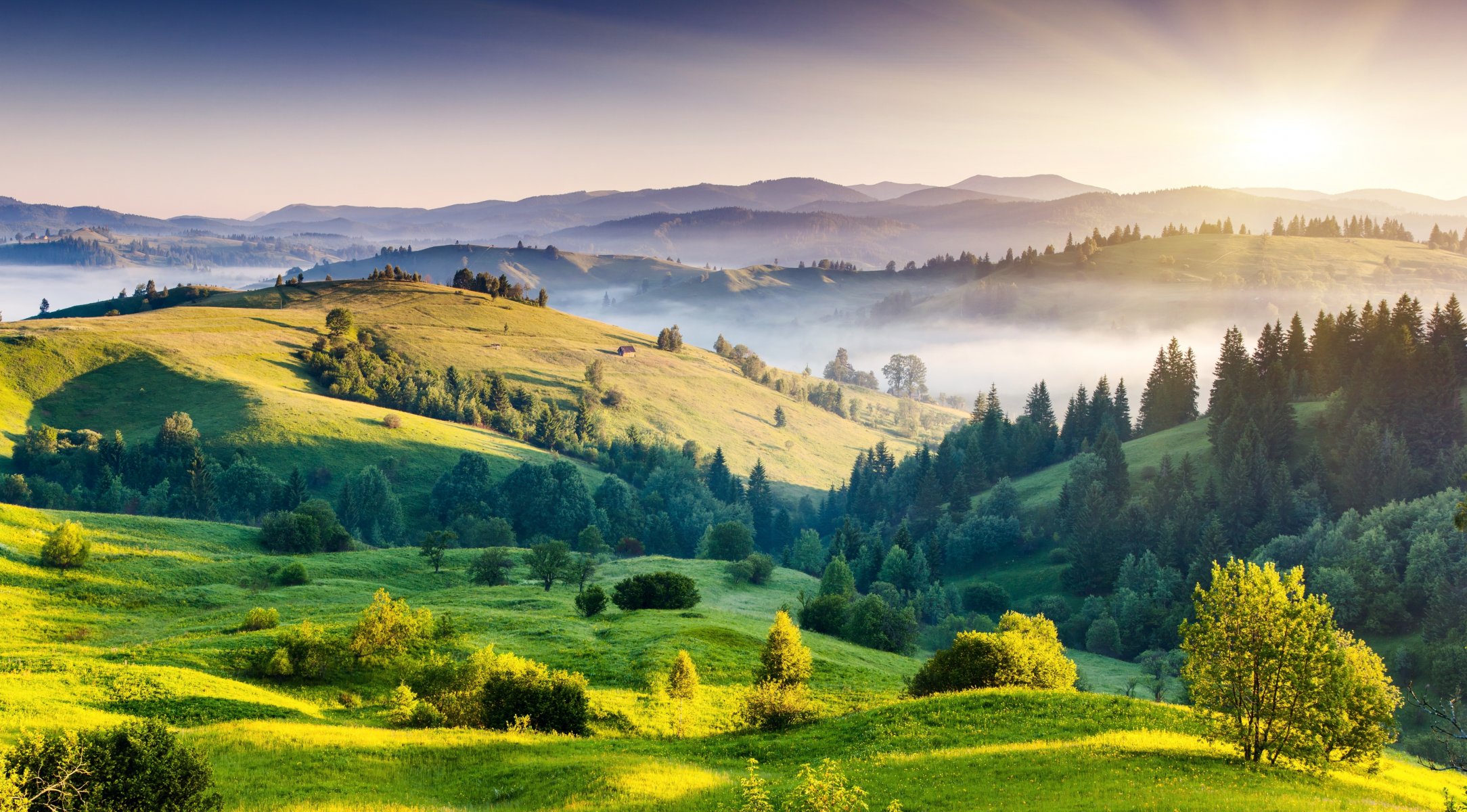 landschaft natur hügel bäume grün nebel dämmerung sonne