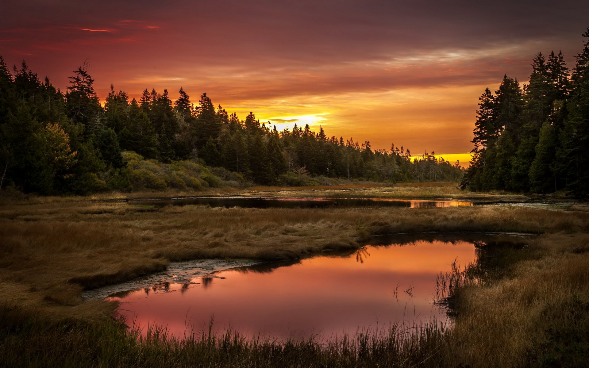 sonnenuntergang see wald landschaft